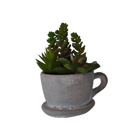 1 Cactus dans une tasse en béton, 14x11x16cm