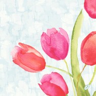60 Serviettes Dunisoft, 40 x 40 cm 1/4, Painted Tulips