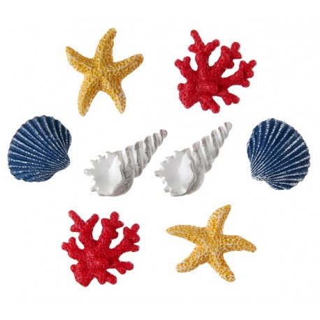 8 conchiglie, multicolore, 2,5, 3 cm