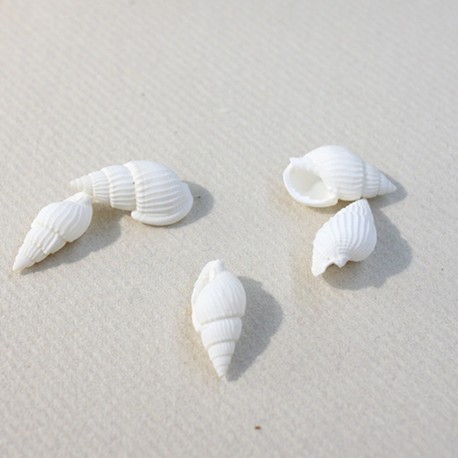 24 Deko-Muscheln, 2,5cm / 1,3cm