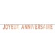 1 striscione in cartoncino oro rosa "Joyeux Anniversaire" 13 x 13 x 250 cm